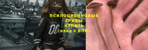 меф Осинники