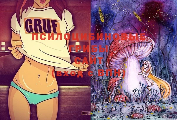 меф Осинники
