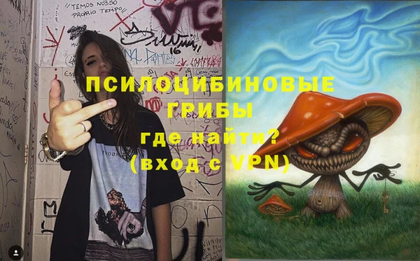 меф Осинники