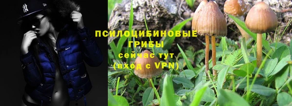 mix Осташков